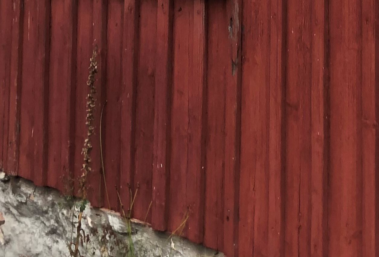 Behandlingar av träfasader