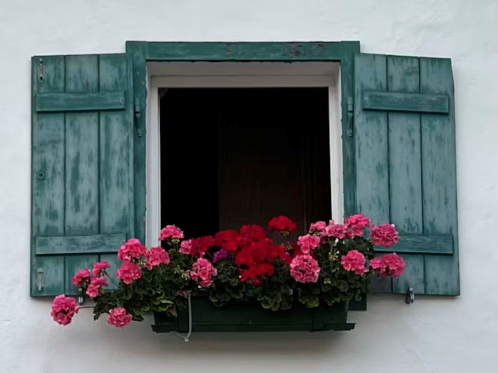 Blomsterlådor & skvallerspeglar